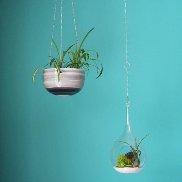· My Indoor Gardening - Nea