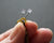 Boucles d'oreilles Quest